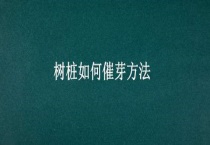 树桩如何催芽多久？