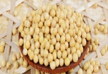 豆子生虫怎么处理 附豆子贮藏多久？