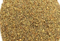 槐米多少钱一斤 附槐米的历史价格和影响它的价格因素