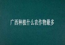 广西种植什么农作物最多