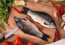 鲫鱼是草鱼吗？