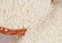 米生小黑虫怎么处理 附预防多久？