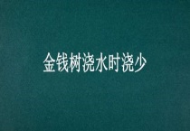 金钱树浇水时浇少