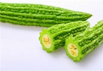 冬天苦瓜种子催芽多久？