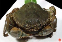 红膏蟹多少钱一斤 附市场前景和风险