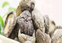 长了白毛的香菇还能不能吃 哪些人不能吃香菇