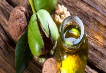 核桃油能不能吃生的 核桃油有哪些功效作用