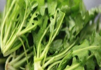 地菜和荠菜是一样的吗？