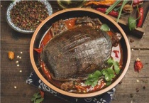 沙鳖和甲鱼的区别？