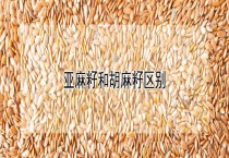 亚麻籽和胡麻籽区别？