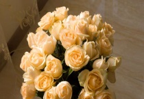 香槟玫瑰适合送什么人