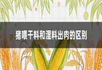 猪喂干料和湿料出肉的区别？