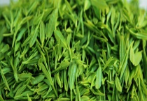 绿茶有哪些茶 附详细介绍