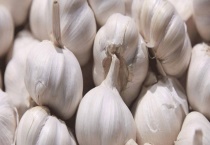 大蒜黄化原因及防治方法 根结线虫病的防治措施