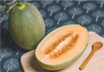 怎样挑选哈密瓜好吃