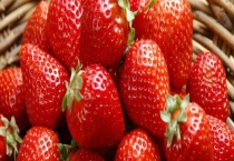 12月的草莓能吃吗？