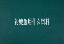 钓鲮鱼用什么饵料