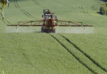 传统农业和现代农业的区别？ 经营目标、经营规模、技术含量均不同