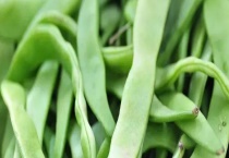 什么是芸豆 和豆角有哪些区别？