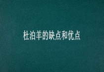 杜泊羊的缺点和优点