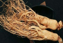 药用植物有哪些 分别介绍其特点