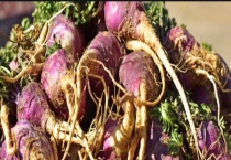 玛卡产地 玛卡长什么样？怎么吃