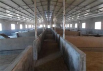 养殖场需要办什么证件