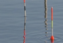 黑漂和顿口有什么区别？？附注意事项