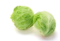 包菜要种几个月可以收