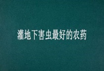 灌地下害虫最好的农药