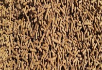 微生物饲料添加剂名词解释 附产品特点、特性和分类