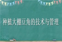 种植大棚豆角的技术与管理