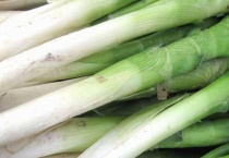 大葱的栽种多久？