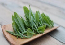 湄潭翠芽的制作工艺 附其二炒标准