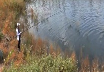 钓鲤鱼用传统钓好还是台钓好？附鲤鱼的摄食习性