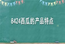 8424西瓜的产品特点