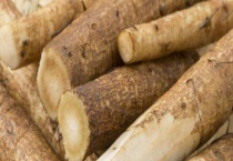 牛蒡和山药有什么区别？ 科属、茎叶、外形均不同