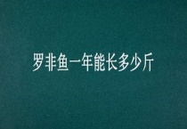 罗非鱼一年能长多少斤