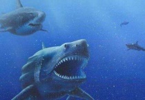 沧龙能吃巨齿鲨吗？