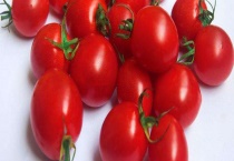 圣女果产地在哪里 附圣女果的产地环境和栽培品种介绍