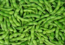 毛豆是凉性还是热性