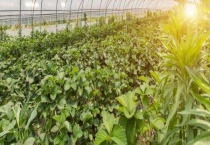 农业不发达必须要有什么？