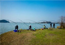 钓鲤鱼挂麦子还是玉米