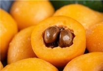 枇杷核可以种植吗？