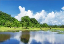 池塘泡沫多如何多久？