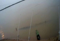 在黄河钓鱼可用哪些饵料 在黄河怎么钓鱼