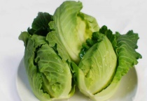 高丽菜是什么？