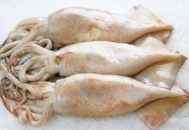 鱿鱼有寄生虫吗？