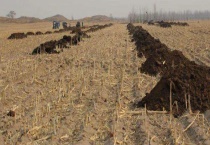 农家肥的腐熟技术 农家肥为什么要腐熟