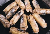 干蛏子一般泡多久？